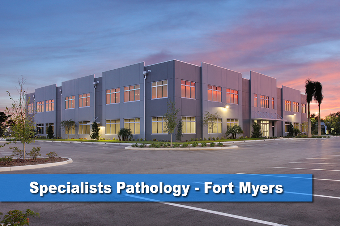 Specialists Pathology - Medical Building Design Projects Fort Myers, FL